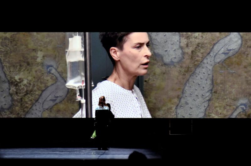 Scena iš spektaklio „Vyšnių sodas“, režisierė Yana Ross (Schauspielhaus Zürich). Video projekcijoje - aktorė Danuta Stenka (Ranevskaja). Zoé Aubry nuotrauka