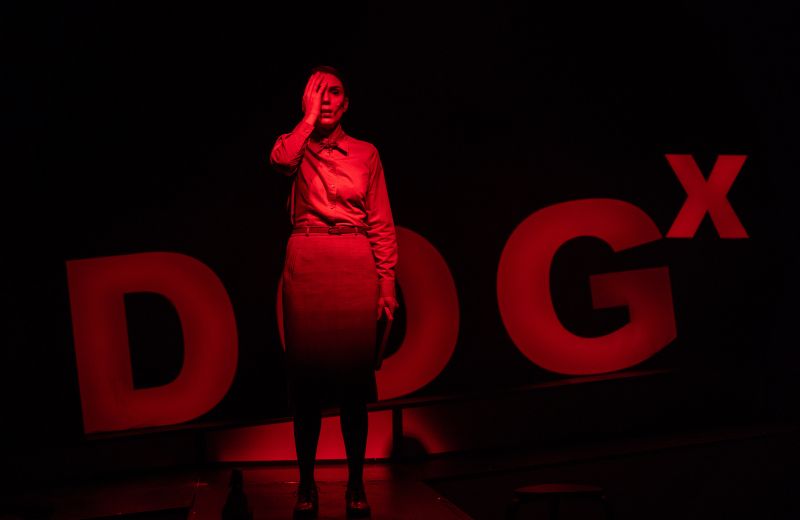 Scena iš spektaklio „Tas keistas nutikimas šuniui naktį“, režisierius Agnius Jankevičius (Juozo Miltinio dramos teatras, 2023). Arvydo Gudo nuotrauka