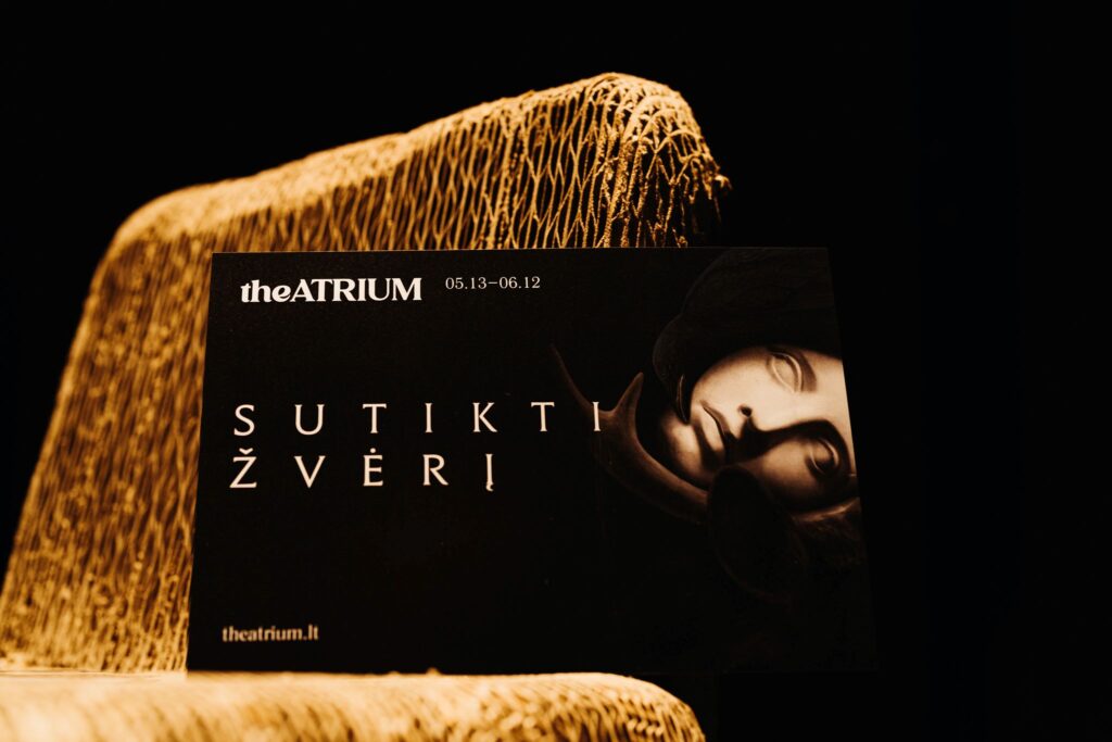 Nuo gegužės 13 d., Klaipėdoje visą mėnesį vyks 9-ojo tarptautinio teatro festivalio „TheATRIUM“ renginiai.