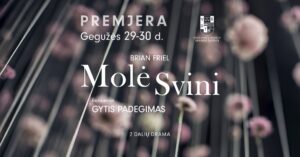 Iliustracija iš VŠDT archyvo